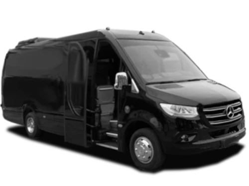 Minibus Long Elmastransfer