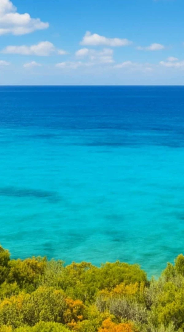 Transfer in Taxi privato Ncc per Castiadas